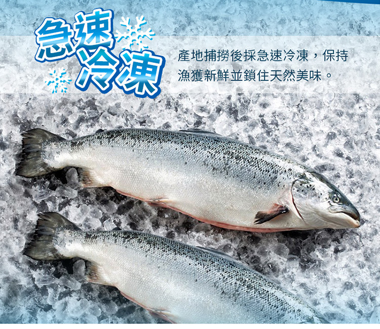 挪威A級鮭魚肚條400g