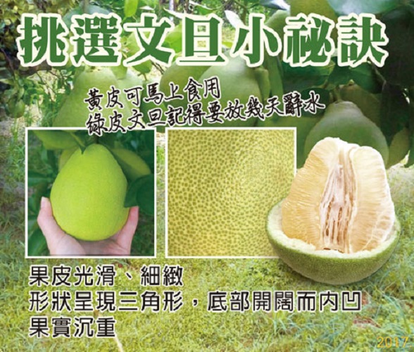 預購商品-【歐吉商】麻豆產銷履歷+產地證明老欉麻豆文旦10台斤 9/1起出貨