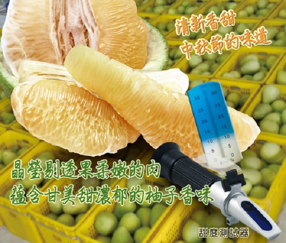 預購商品-【歐吉商】麻豆產銷履歷+產地證明老欉麻豆文旦10台斤 9/1起出貨