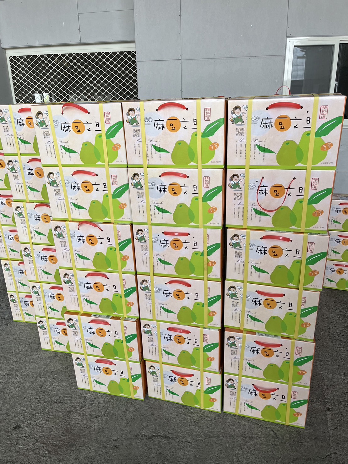 預購商品-【歐吉商】麻豆產銷履歷+產地證明老欉麻豆文旦10台斤 9/1起出貨