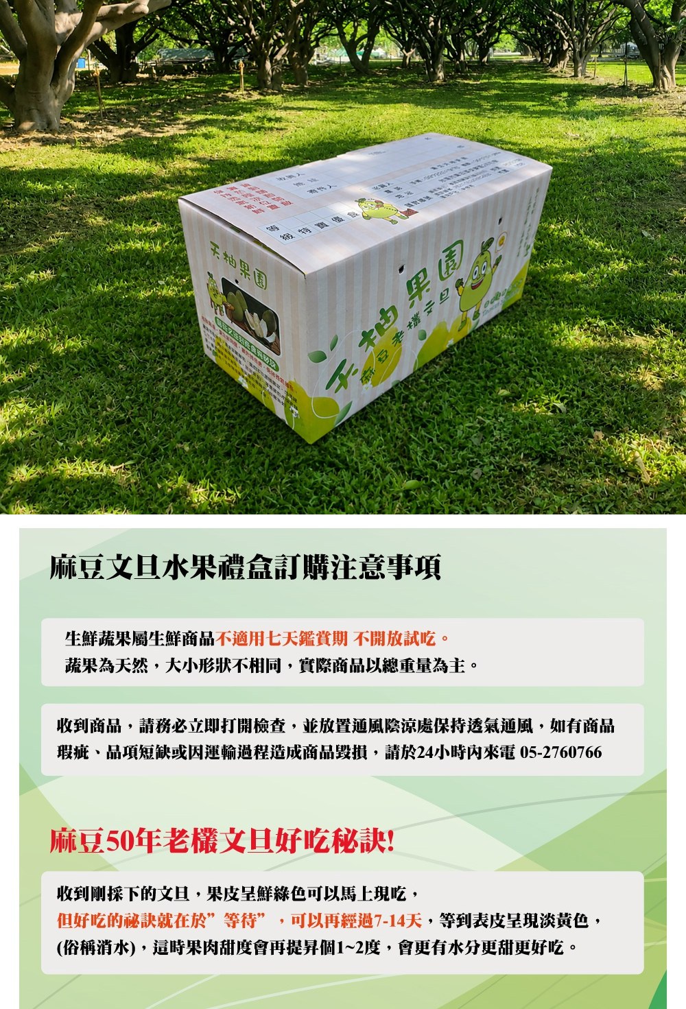 【天柚果園】台南麻豆惜福文旦禮盒(10斤裝/10-20顆)(中秋禮盒)