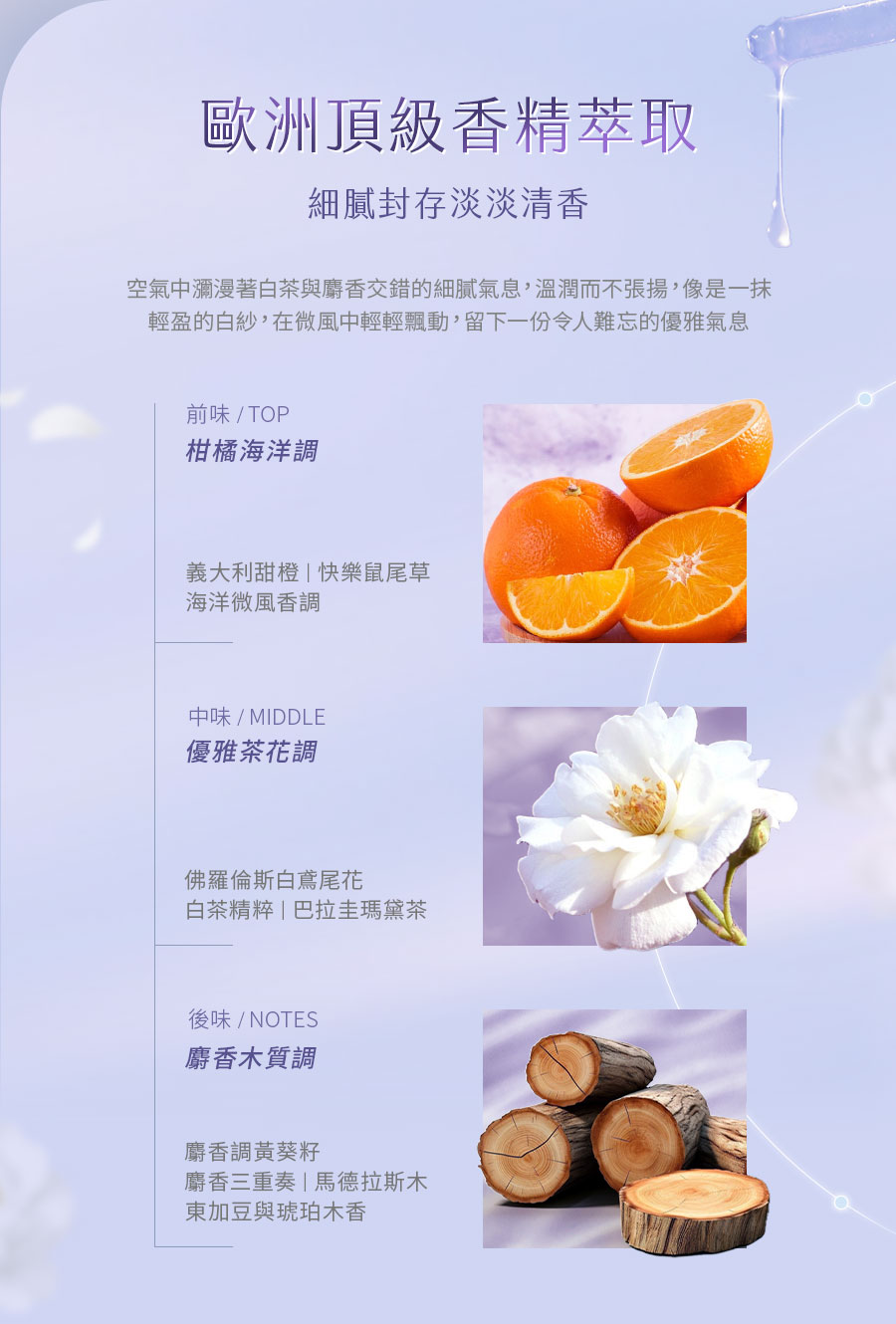 【Prosi普洛斯】酵素抗菌衣物手洗精(護手配方)