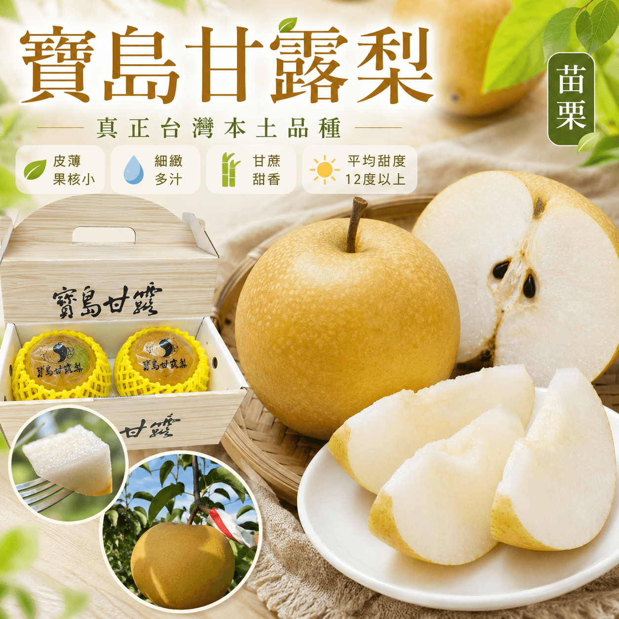 寶島甘露梨 中果20A6顆一盒