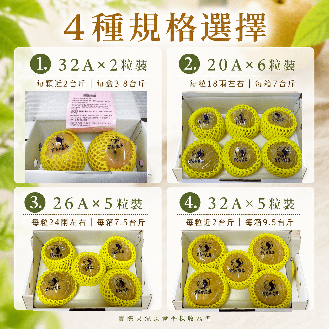 寶島甘露梨 中果20A6顆一盒