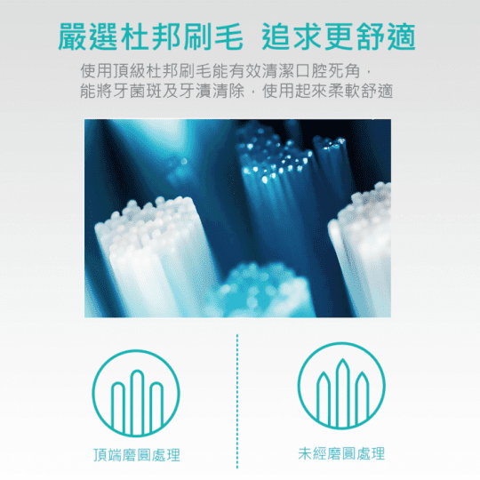 【SAMPO 聲寶】 音波牙刷震動牙刷