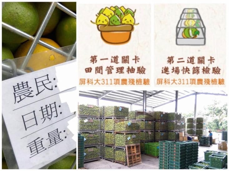 老實農場萊姆/檸檬冰角