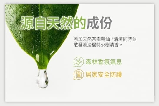 【Prosi 普洛斯】抗菌乾洗手噴霧100mlx10入(茶樹添加)
