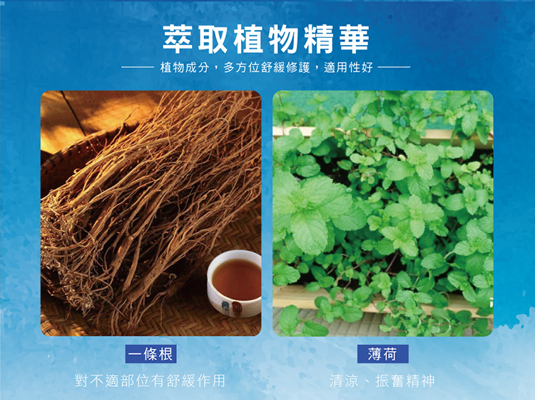 【正金牌】一條根舒緩涼感/小黑蚊防蚊/薄荷油(滾珠/噴霧)10ml