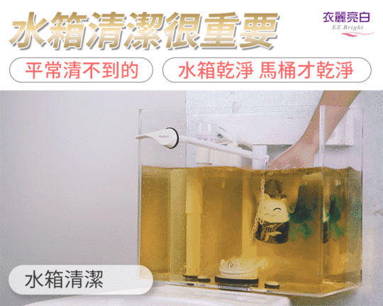 招財貓開運自動馬桶清潔劑 馬桶清潔 除垢劑 廁所芳香劑 馬桶芳香劑