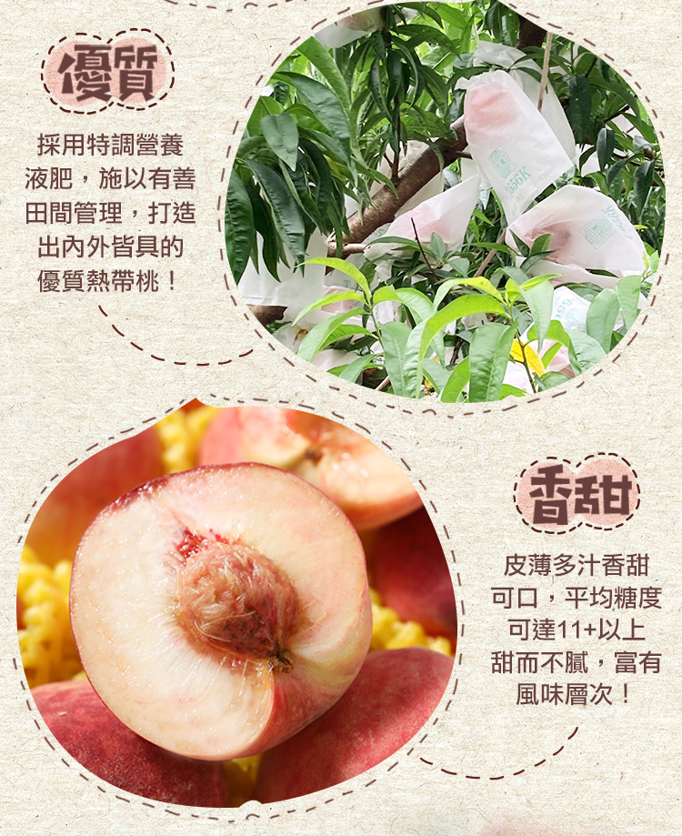【享吃鮮果】台灣鮮採水蜜桃1KG(6入裝)