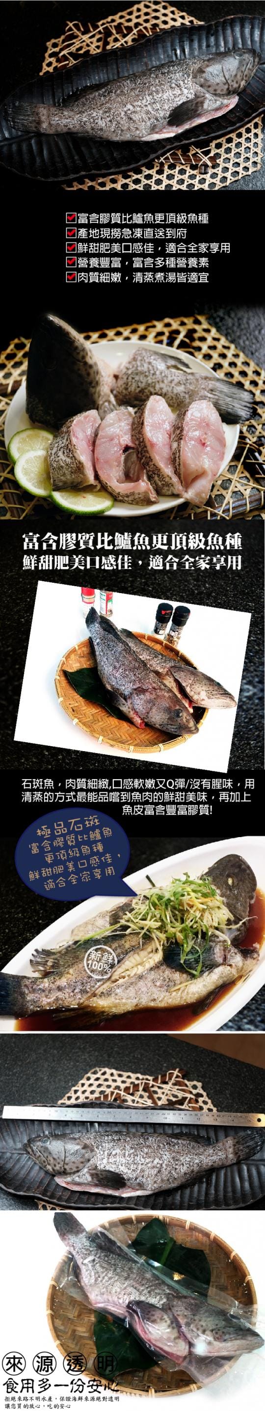 極品大石斑