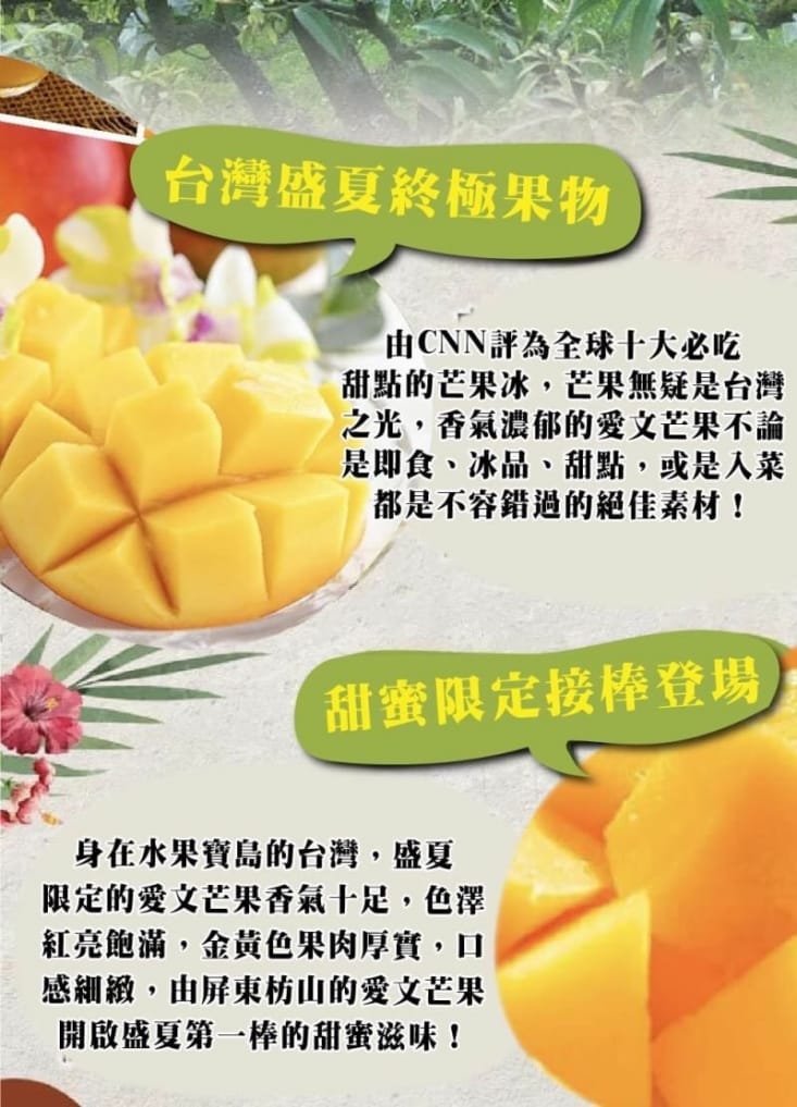 【產地直送】屏東枋山愛文芒果5台斤X4箱(9-11顆/箱)