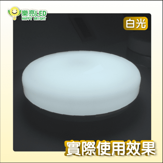 樂亮 LED 防水吸頂燈 16W IP54 黃光 白光