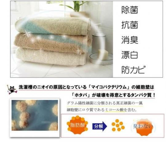 洗衣槽去霉碇 洗衣槽去霉碇