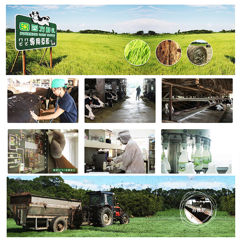 【四方鮮乳】鮮乳餅乾-6盒(160克±4.5%/盒)