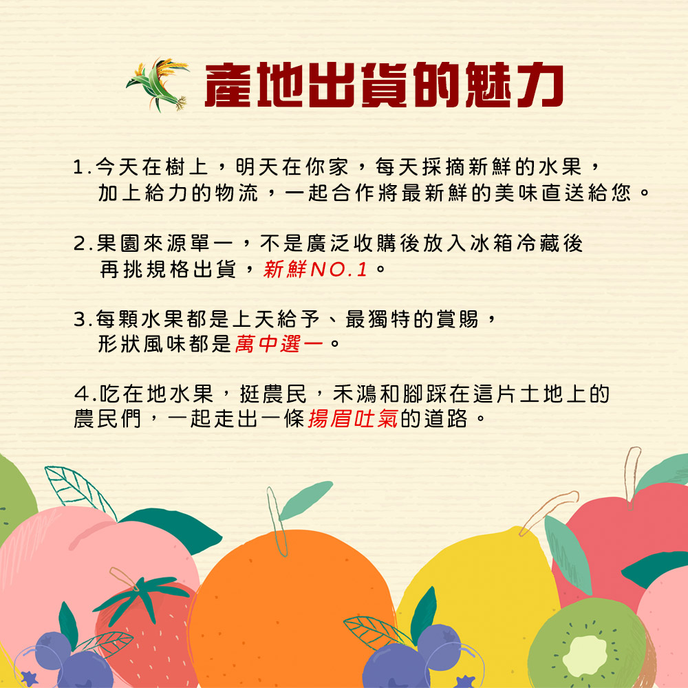  【禾鴻】台東優質大目釋迦5斤／10斤 林檎 番荔枝 水果