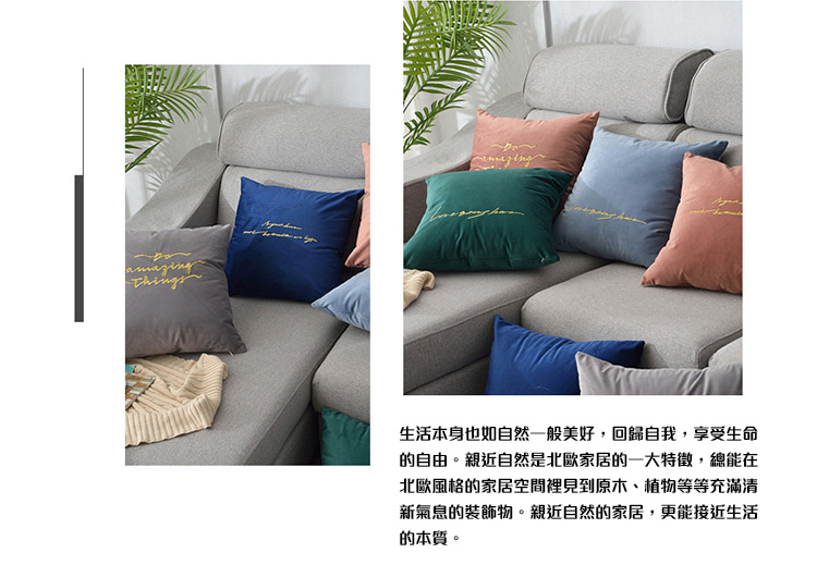 北歐絲絨刺繡印花抱枕