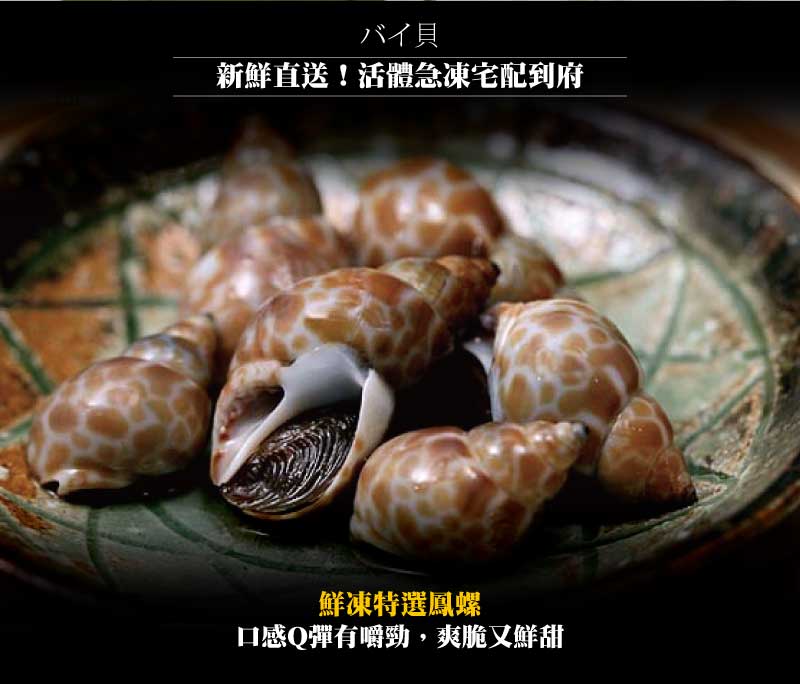 【小川漁屋】嚴選活凍鳳螺 (500g±10%/包)