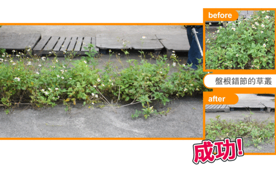 功夫40V充電式無刷割草機-TPBC4013(割草 除草)