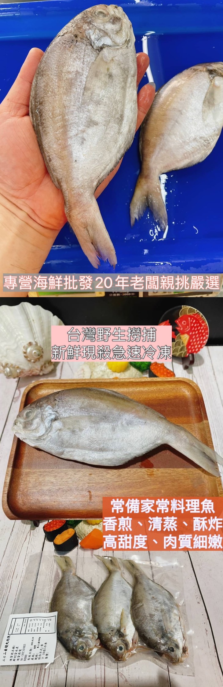 【鮮到貨】台灣野生撈捕大肉魚500g 3尾/包