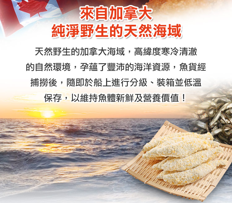       【愛上海鮮】加拿大黃金爆卵柳葉魚12包(225g±10%/包)