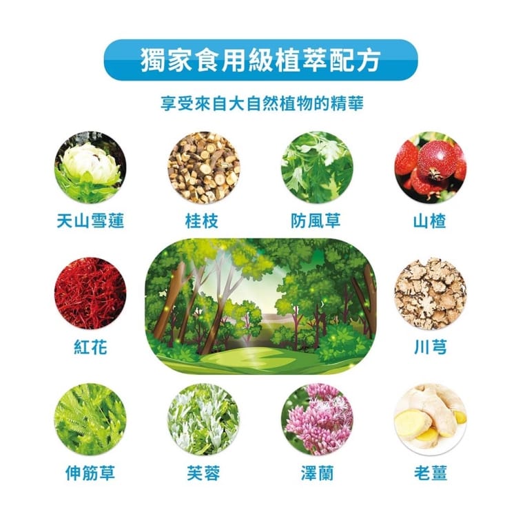 【雪莉朵辣嚴選】通通能量貼 三種任選