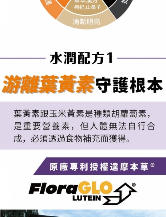 達摩本草玻尿酸游離型葉黃素膠囊x20(小分子玻尿酸、水潤明亮)