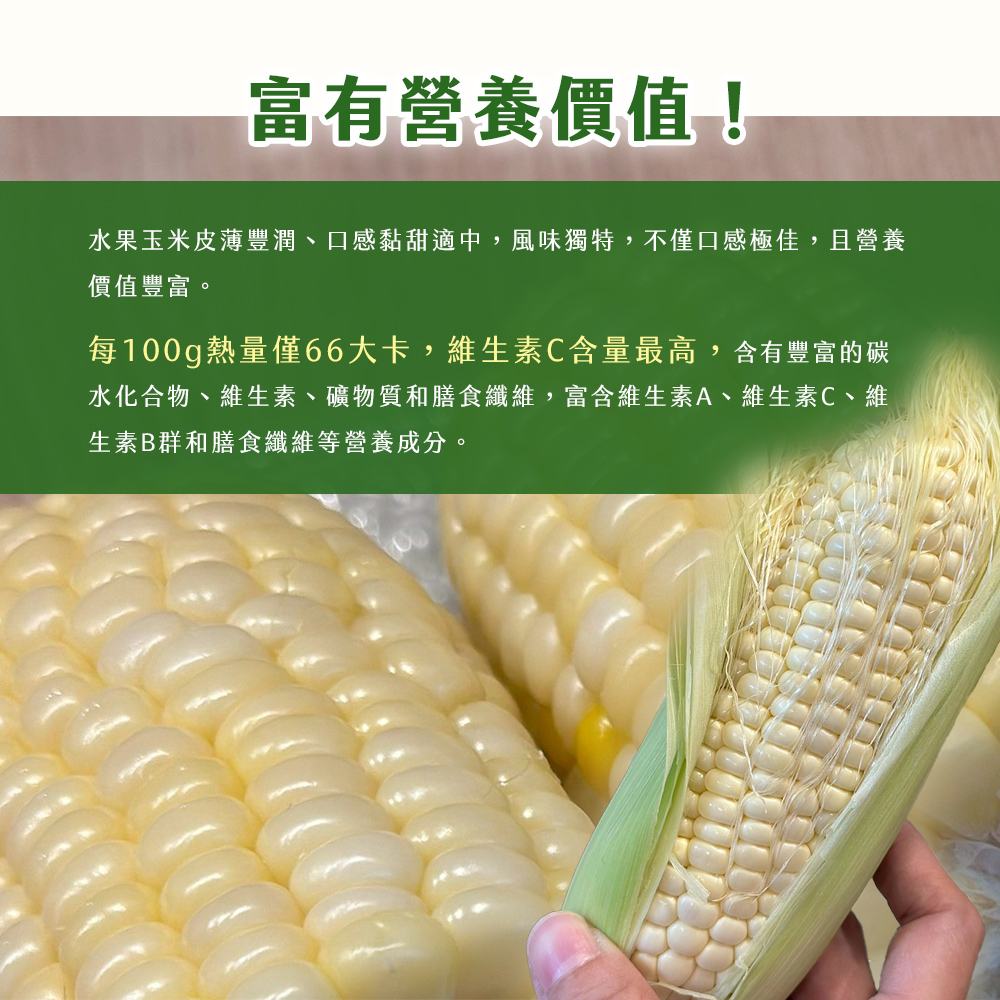 【雪莉朵辣嚴選】白龍王水果玉米3.6kg 甜玉米 生玉米 無基因改造 無農藥殘留
