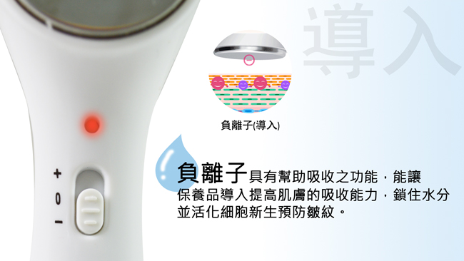 SAMPO聲寶 美容美顏超值2入組(美膚儀+冷熱儀)  導入儀 冷熱儀 美容 清