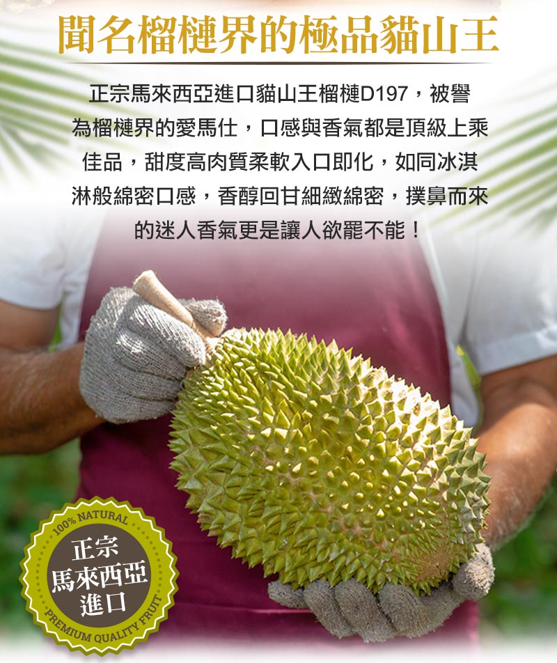 【享吃鮮果】頂級貓山王榴槤D197鮮凍果肉400g