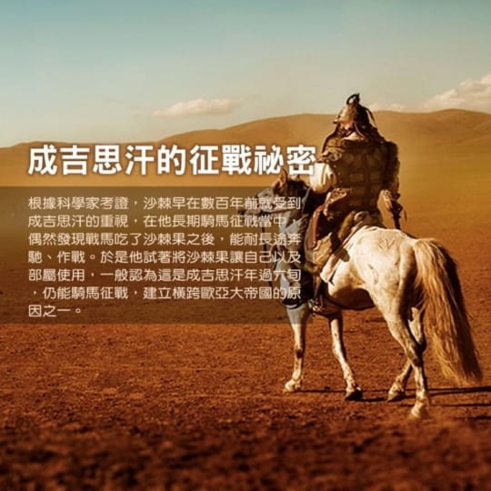 進口特級鮮凍沙棘果粒