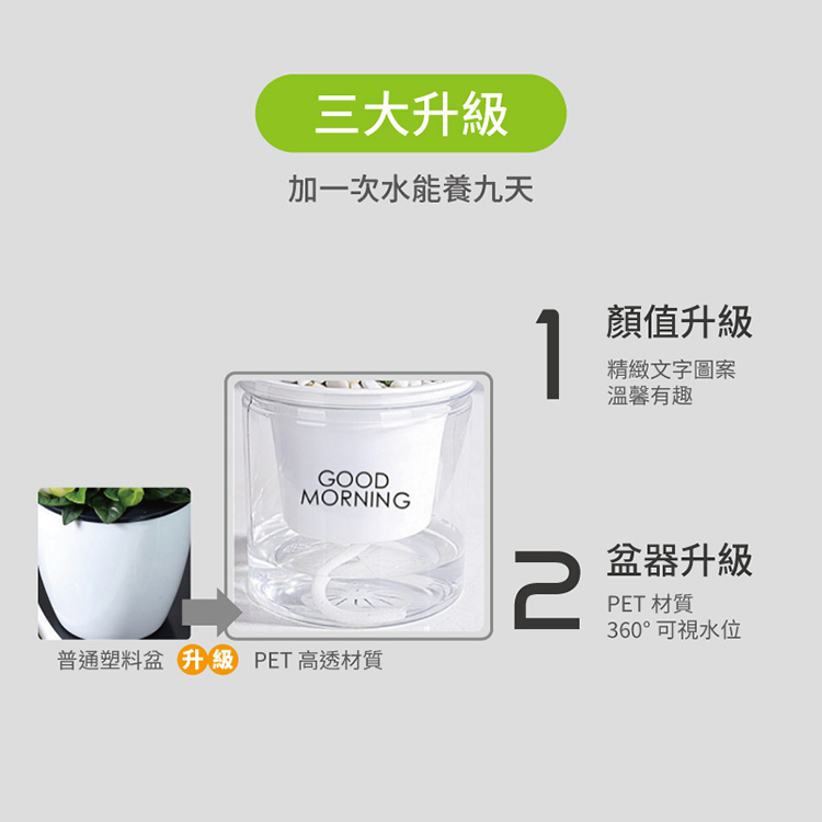 懶人福音自動吸水透明花盆
