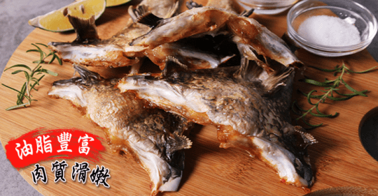 台灣鯛魚下巴