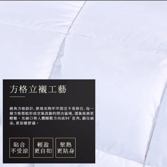 95% 天然保暖羽絨被