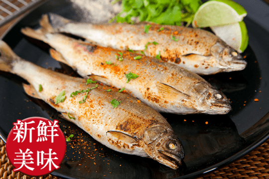 肥美子持魚卵母香魚