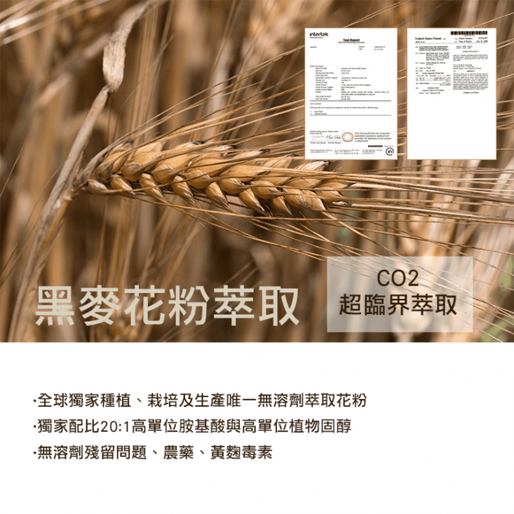 南瓜子茄紅素複方素食膠囊 保健營養品 保健食品 30粒/盒