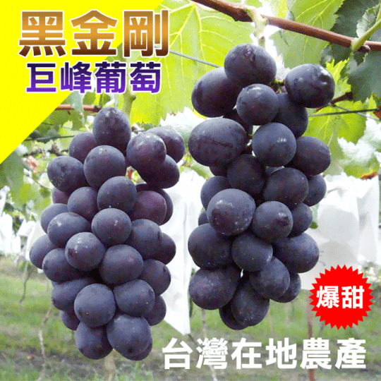 爆甜黑金剛巨峰葡萄禮盒