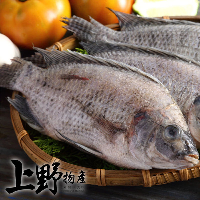       【上野物產】嚴選台灣鯛魚 x24隻(海鮮 鯛魚)