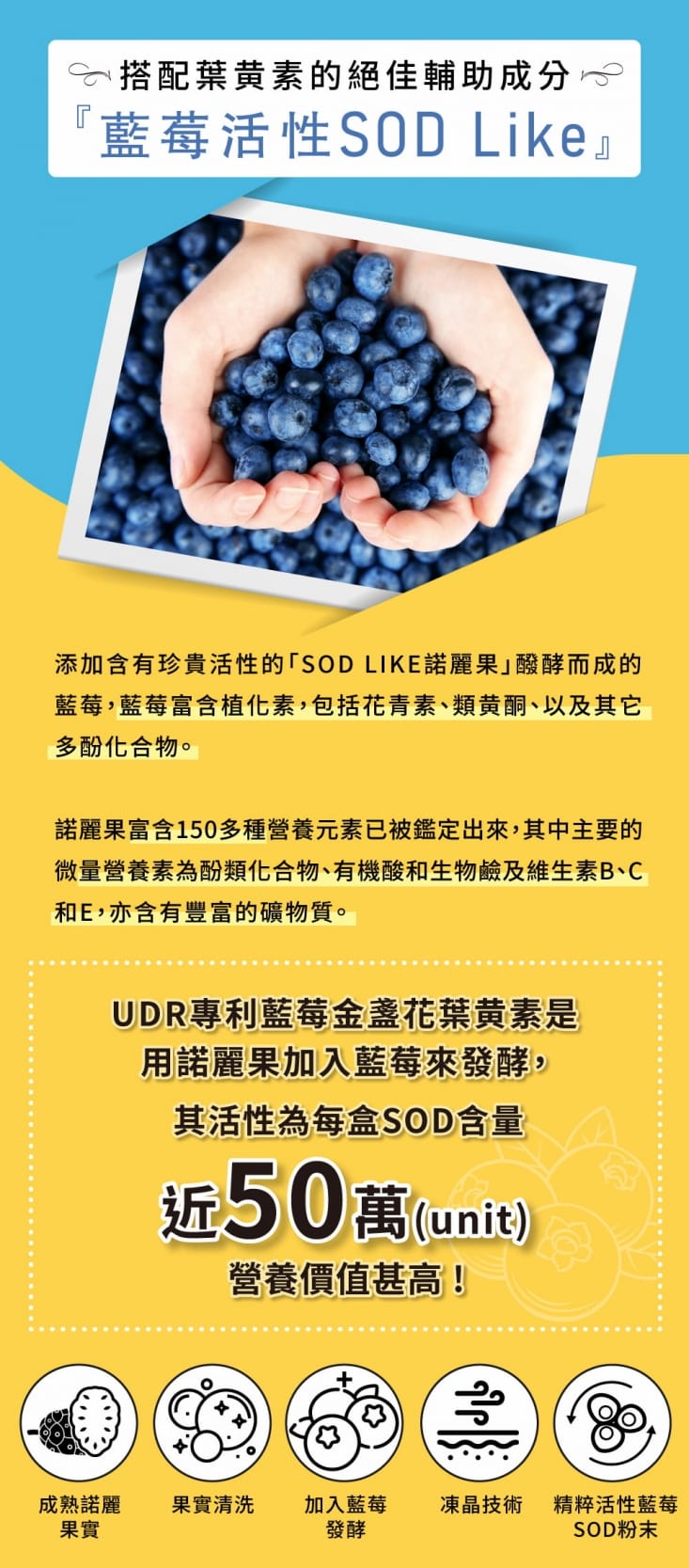 【UDR】專利藍莓金盞花葉黃素EX(透明無色素膠囊) 30顆/盒 