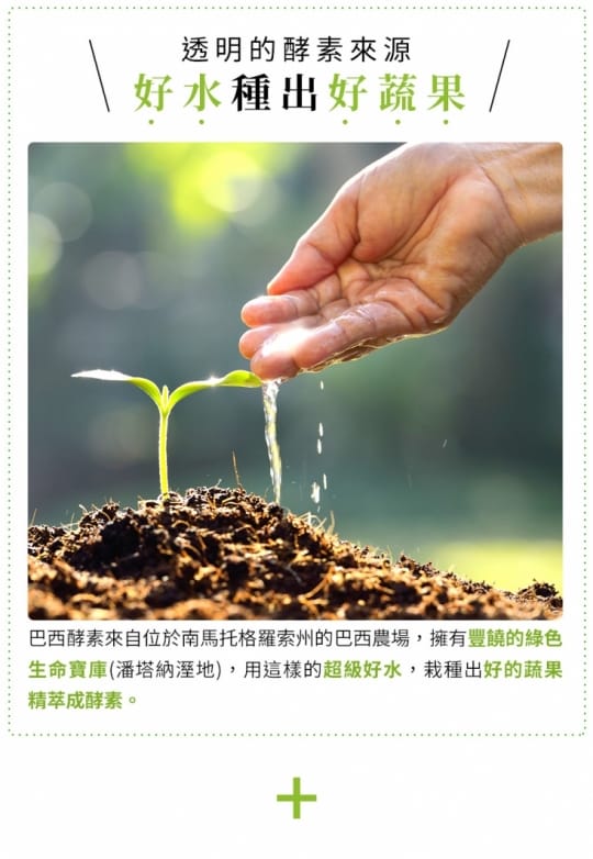 【UDR】專利玫瑰晶球益菌酵素EX