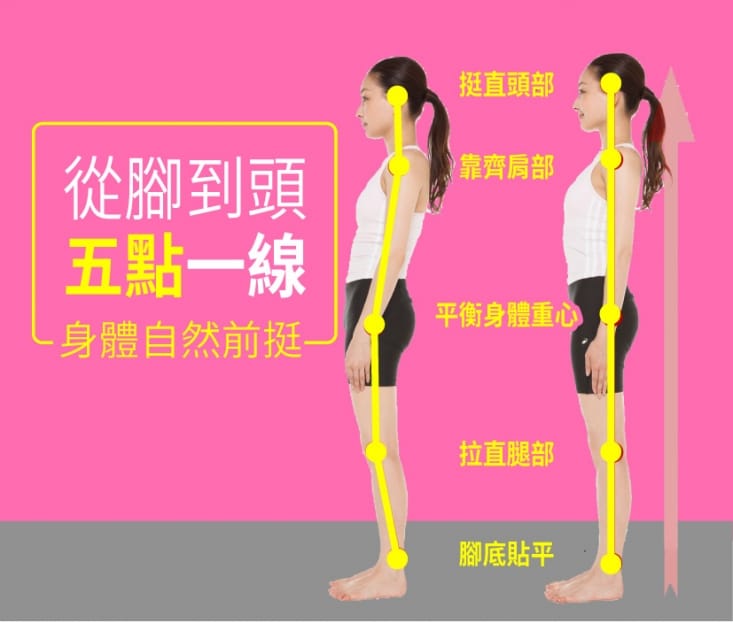 【一點】美腿導正分趾套 分趾器 分趾套 假跨寬(2入/組)
