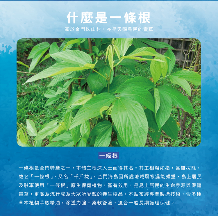 【正金牌】一條根舒緩涼感/小黑蚊防蚊/薄荷油(滾珠/噴霧)10ml