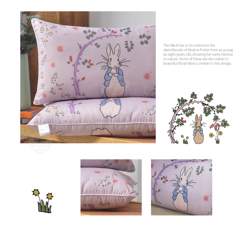【PETER RABBIT】比得兔V&A博物館聯名抗菌枕 可水洗 台灣製造 枕頭