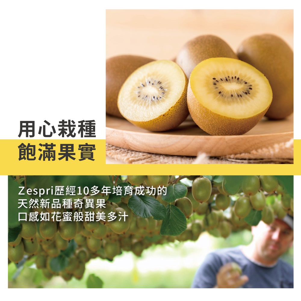 【水果達人】紐西蘭黃金奇異果30顆禮盒3kg