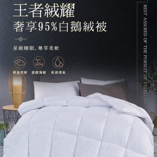 95% 天然保暖羽絨被