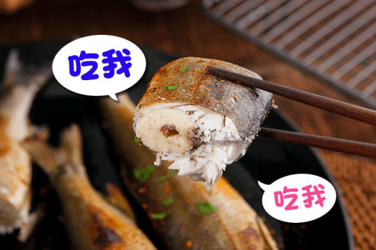 肥美子持魚卵母香魚