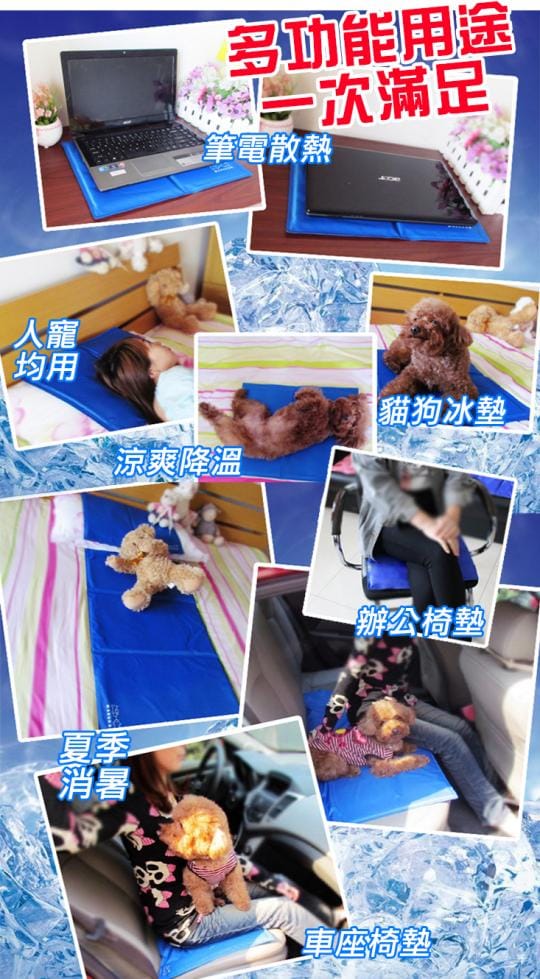 寵物冰墊 貓狗冰墊 人寵可用 涼墊 降溫 散熱 狗窩 貓床 椅墊 坐墊