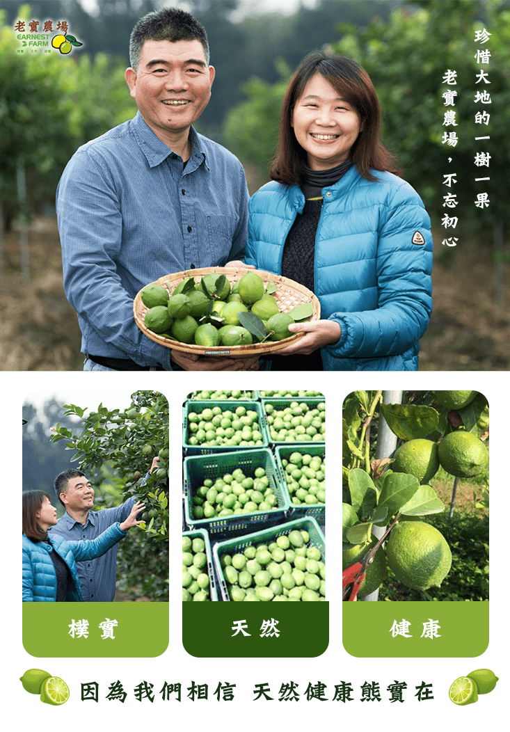 老實農場萊姆/檸檬冰角