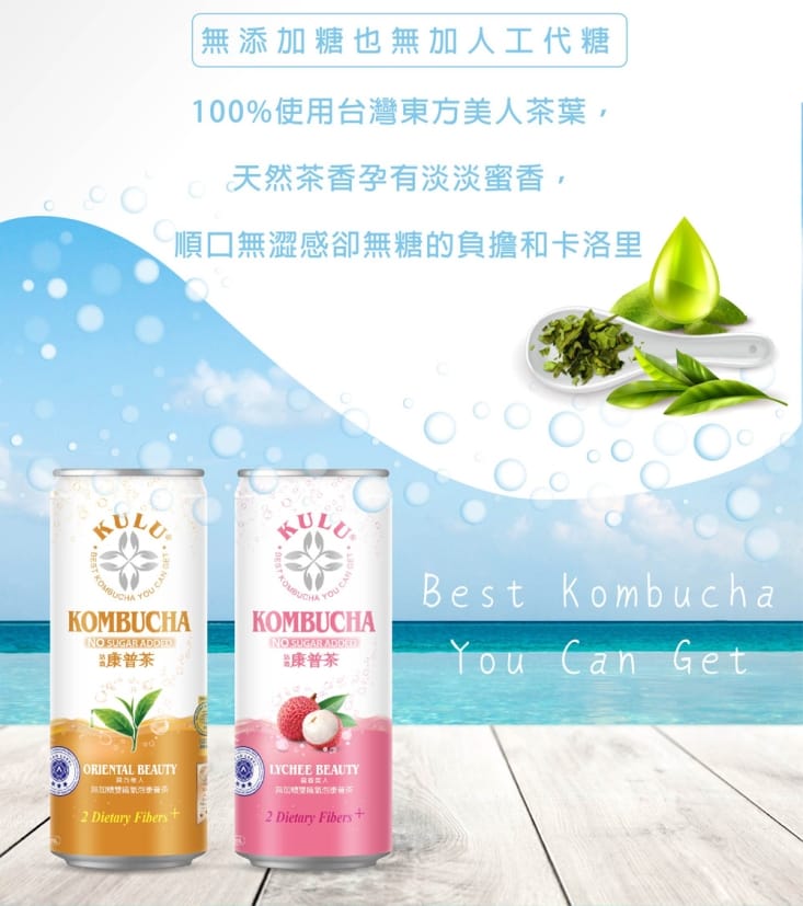 【咕嚕康普茶】無加糖咕嚕康普茶235ml (24瓶/箱) 康普茶 雙纖 氣泡飲