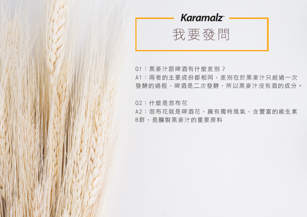 【Karamalz 卡麥隆】德國原裝進口卡麥隆黑麥汁 檸檬/紅石榴/原味